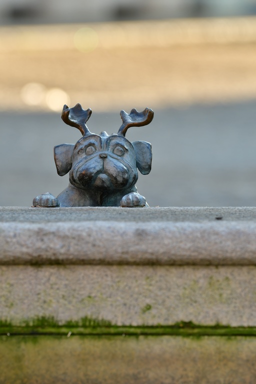 2026-01-08 Brandenburg an der Havel/Waldmöpse/DSC_2368.JPG